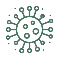 Muffe, germi e batteri